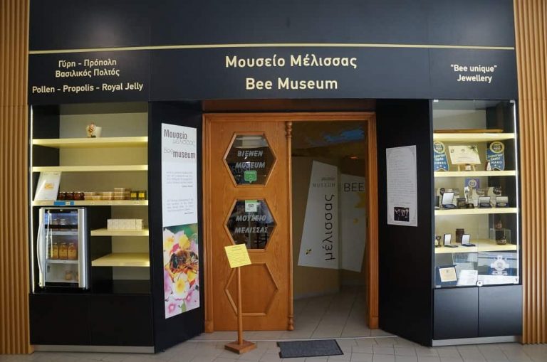 bee museum 1 768x509